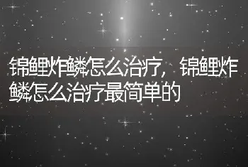 锦鲤炸鳞怎么治疗，锦鲤炸鳞怎么治疗最简单的