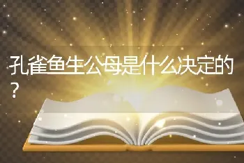 孔雀鱼生公母是什么决定的？