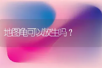 地图龟可以放生吗？