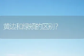 黄边和绿颊的区别？