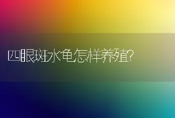 四眼斑水龟怎样养殖？