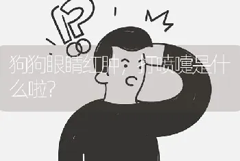 狗狗眼睛红肿，打喷嚏是什么啦？