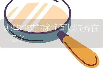 鹦鹉鱼能和什么上层鱼一起养？