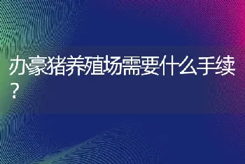 办豪猪养殖场需要什么手续？