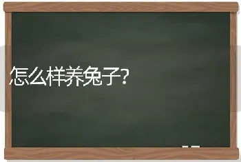 怎么样养兔子？