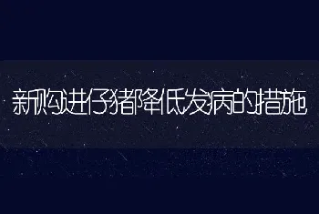 独居鱼为何频频跳缸自杀专家：或因新伙伴