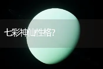 七彩神仙性格？