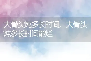 大骨头炖多长时间，大骨头炖多长时间能烂