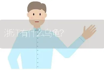 浙江有什么乌龟？