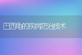 巴西龟的疾病防治技术