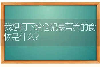 我想问下给仓鼠最营养的食物是什么？