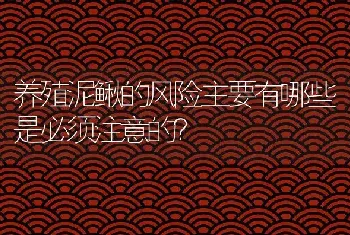 养殖泥鳅的风险主要有哪些是必须注意的？