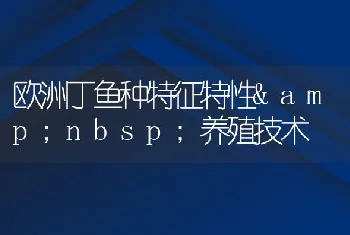 欧洲丁鱼种特征特性养殖技术