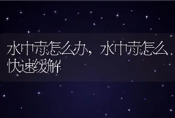 水中毒怎么办，水中毒怎么快速缓解