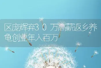 区庞辉弃30万高薪返乡养龟创业年入百万