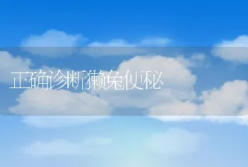 正确诊断獭兔便秘