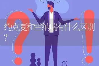 约克夏和雪纳瑞有什么区别？