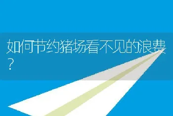 如何节约猪场看不见的浪费？