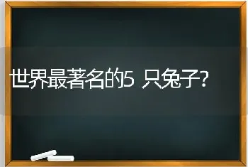 世界最著名的5只兔子？