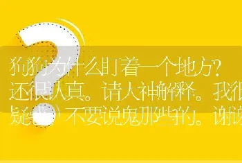 狗狗为什么盯着一个地方？还很认真。请大神解释。我很疑惑。不要说鬼那些的。谢谢各位了？