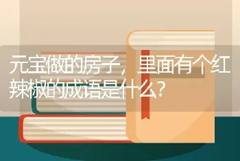 元宝做的房子，里面有个红辣椒的成语是什么？