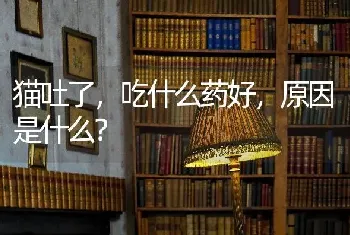 猫吐了，吃什么药好，原因是什么？