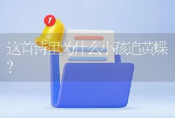 这首诗里为什么小孩追黄蝶？