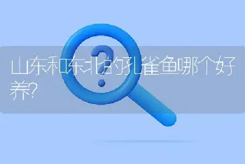 山东和东北的孔雀鱼哪个好养？