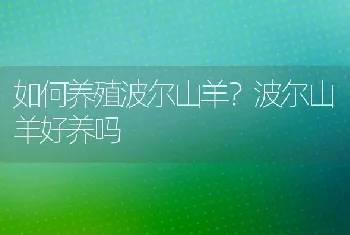 如何养殖波尔山羊？波尔山羊好养吗