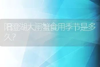 阳澄湖大闸蟹食用季节是多久？