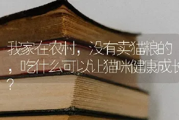 我家在农村，没有卖猫粮的，吃什么可以让猫咪健康成长？