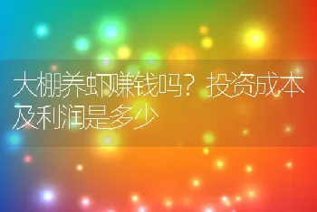 大棚养虾赚钱吗？投资成本及利润是多少