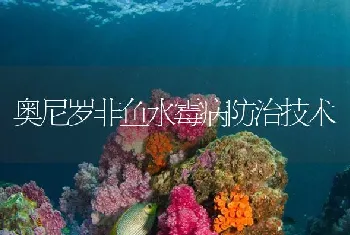 奥尼罗非鱼水霉病防治技术