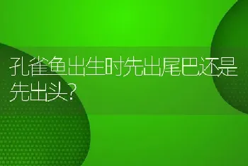 孔雀鱼出生时先出尾巴还是先出头？