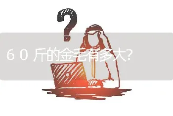 60斤的金毛有多大？