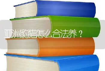 狗狗吐了好几坨土黄色的东西？