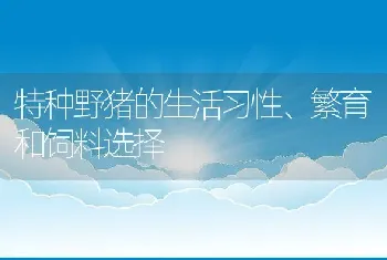 特种野猪的生活习性、繁育和饲料选择