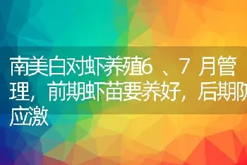 南美白对虾养殖6、7月管理，前期虾苗要养好，后期防应激