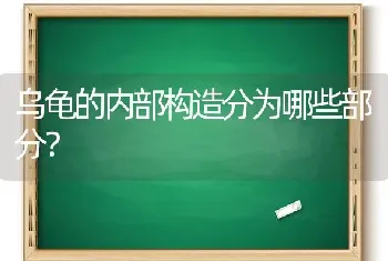 乌龟的内部构造分为哪些部分？