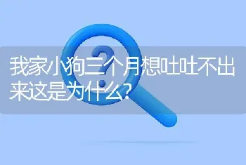 边牧一个多月老是对着主人叫怎么回事？