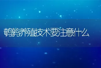 鹌鹑养殖技术要注意什么