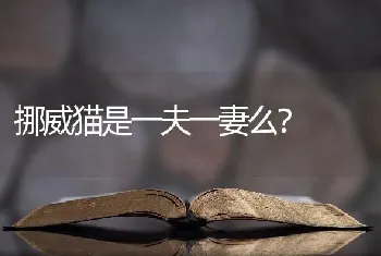 挪威猫是一夫一妻么？