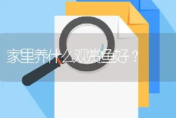 家里养什么观赏鱼好？