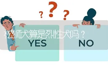 松狮犬算是烈性犬吗？