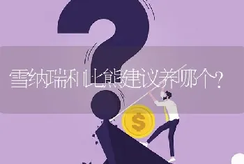 雪纳瑞和比熊建议养哪个？