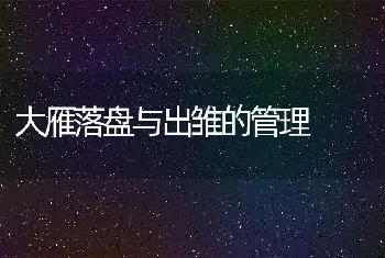 大雁落盘与出雏的管理