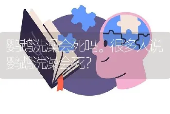 鹦鹉洗澡会死吗。很多人说鹦鹉洗澡会死？