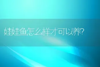 娃娃鱼怎么样才可以养？