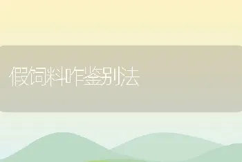 兔子的大肠杆菌眼球炎如何治疗？