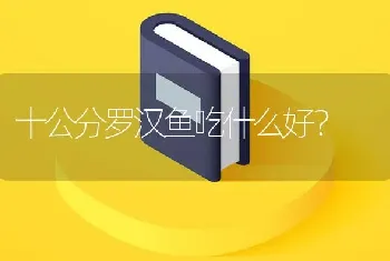 十公分罗汉鱼吃什么好？